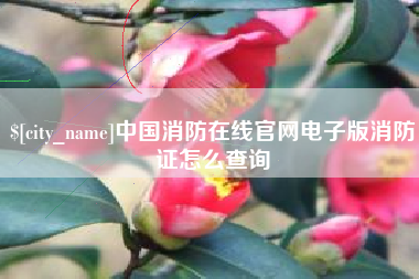 宜宾中国消防在线官网电子版消防证怎么查询
