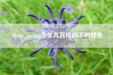 宜宾今年九宫格的不利颜色