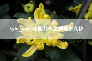 宜宾中国九枚金牌是哪九枚