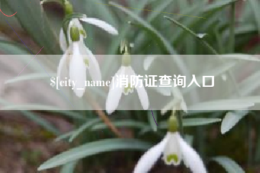 宜宾消防证查询入口
