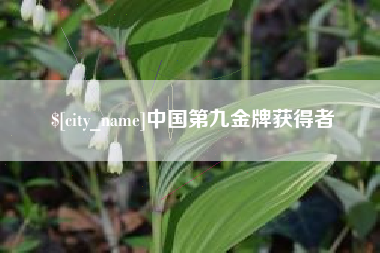 宜宾中国第九金牌获得者