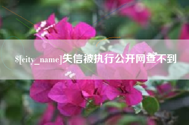 宜宾失信被执行公开网查不到