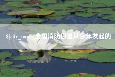宜宾全国消防日是从哪年发起的