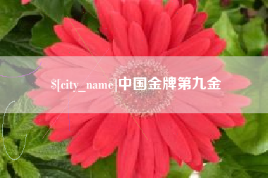 宜宾中国金牌第九金