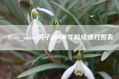 宜宾男子5000米年龄成绩对照表