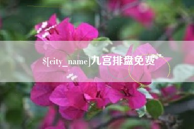 宜宾九宫排盘免费
