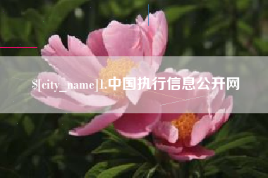宜宾1.中国执行信息公开网