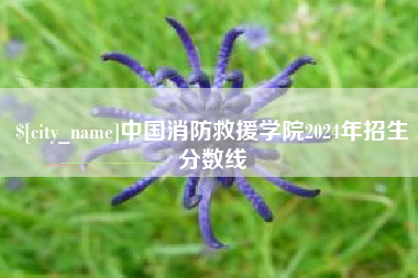 宜宾中国消防救援学院2024年招生分数线