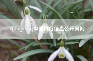 宜宾中国执行信息公开网询