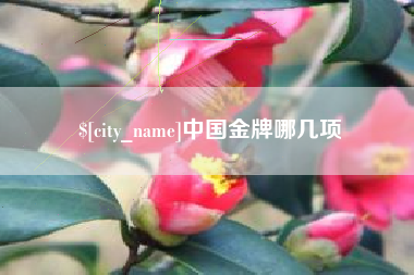 宜宾中国金牌哪几项