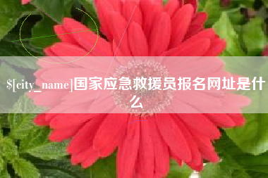 宜宾国家应急救援员报名网址是什么