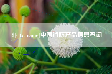 宜宾中国消防产品信息查询