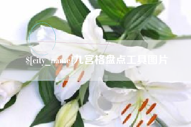 宜宾九宫格盘点工具图片