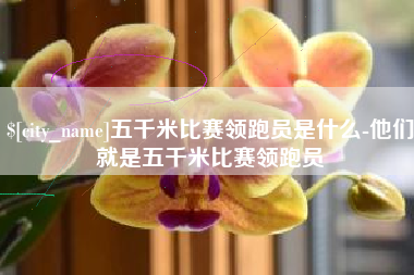 宜宾五千米比赛领跑员是什么-他们就是五千米比赛领跑员