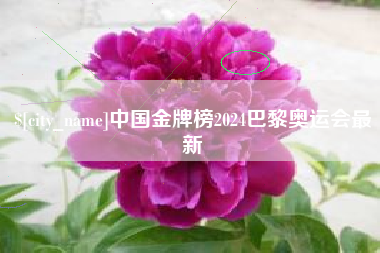 宜宾中国金牌榜2024巴黎奥运会最新