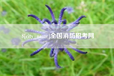 宜宾全国消防招考网