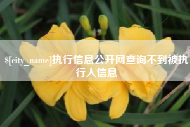 宜宾执行信息公开网查询不到被执行人信息
