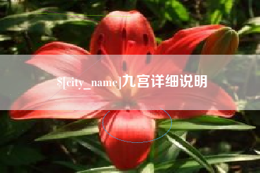 宜宾九宫详细说明