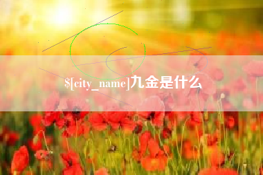 宜宾九金是什么