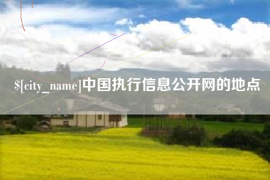 宜宾中国执行信息公开网的地点