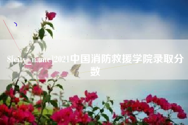 宜宾2021中国消防救援学院录取分数