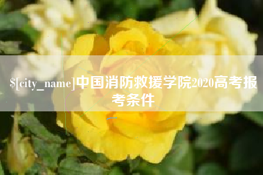宜宾中国消防救援学院2020高考报考条件