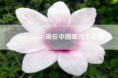 宜宾现在中国哪几个金牌