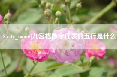宜宾九宫格数字代表的五行是什么