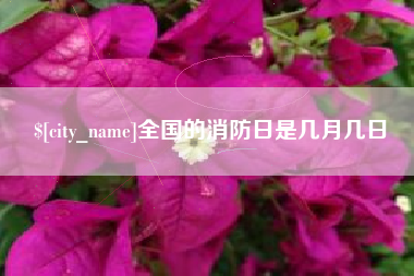 宜宾全国的消防日是几月几日