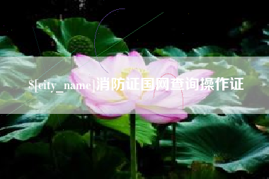 宜宾消防证国网查询操作证