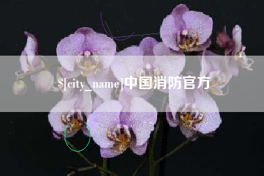 宜宾中国消防官方