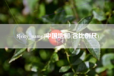 宜宾中国地图(含比例尺)