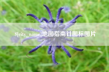 宜宾地图指南针图标图片