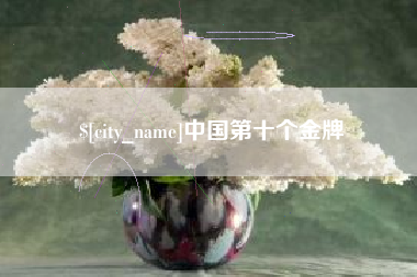 宜宾中国第十个金牌