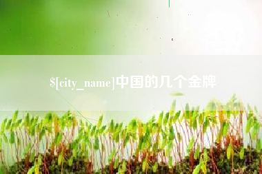 宜宾中国的几个金牌