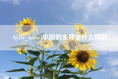 宜宾中国的金牌是什么样的