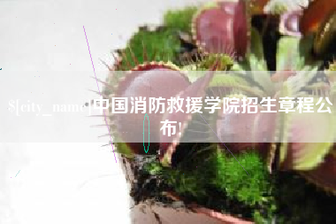 宜宾中国消防救援学院招生章程公布!
