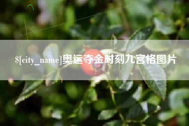 宜宾奥运夺金时刻九宫格图片