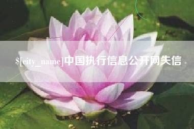 宜宾中国执行信息公开网失信