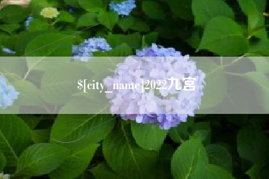宜宾2022九宫