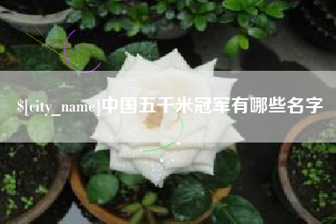 宜宾中国五千米冠军有哪些名字