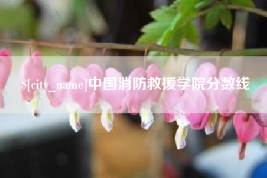 宜宾中国消防救援学院分数线