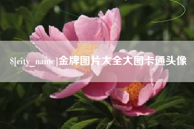 宜宾金牌图片大全大图卡通头像