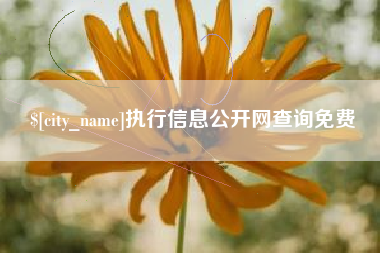 宜宾执行信息公开网查询免费
